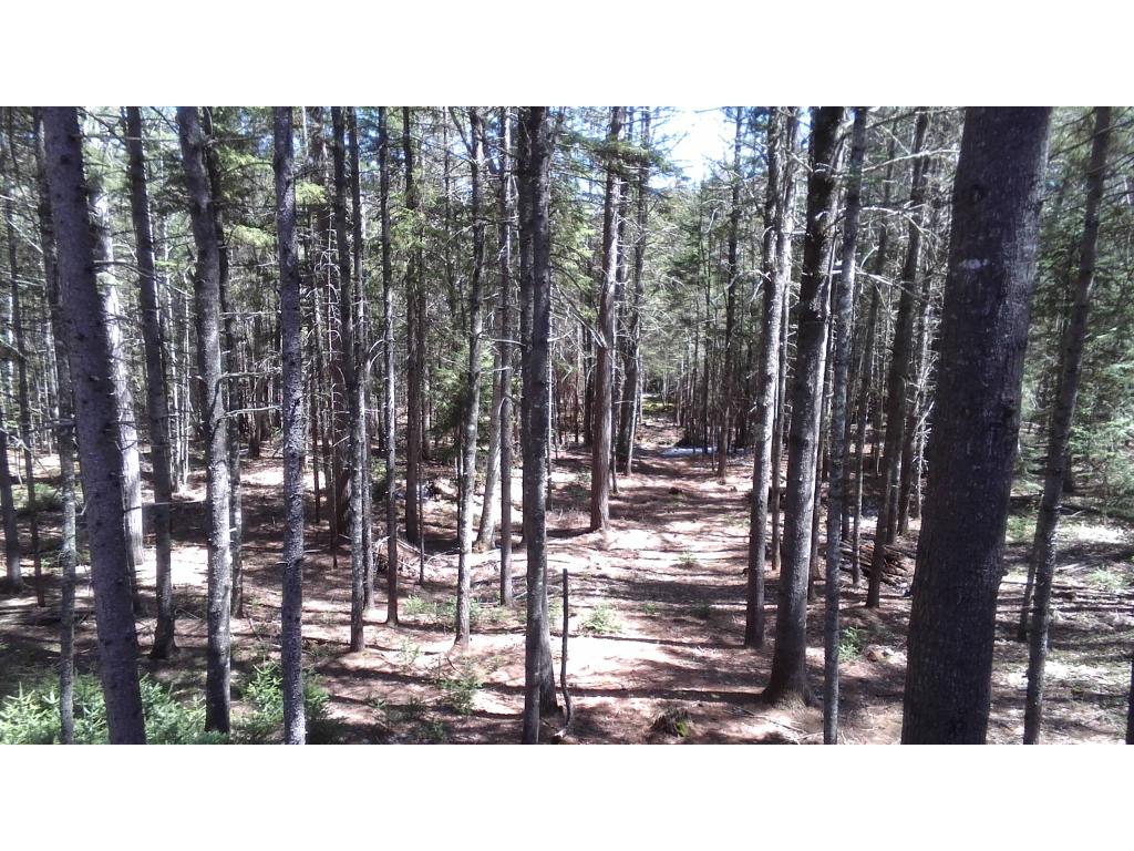 1457 Province Lake Road Effingham, NH 03882 - Photo 8 of 32