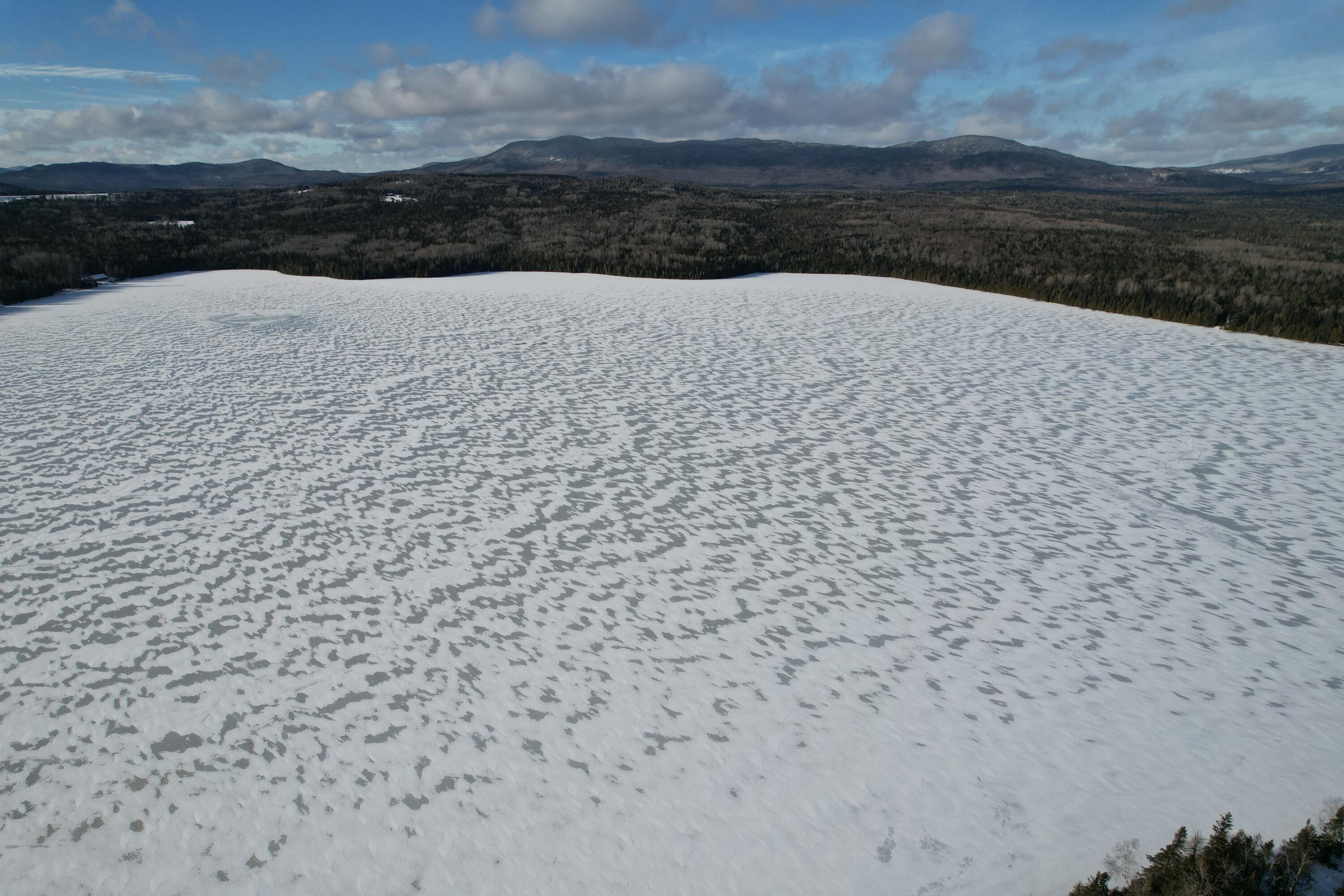 DJI_0368