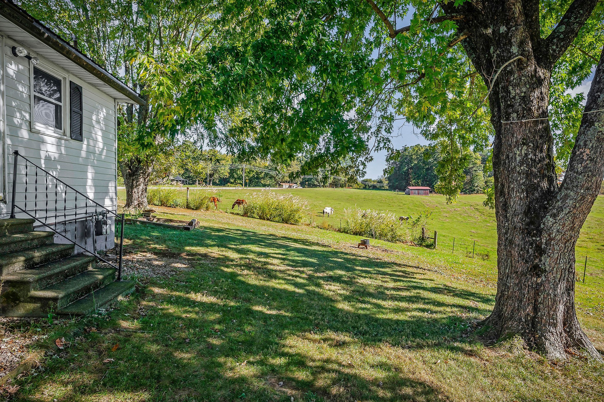 2634 Pine Grove Road Spencer, TN 38585 - Photo 25 of 33 a view of a yard with an outdoor seating