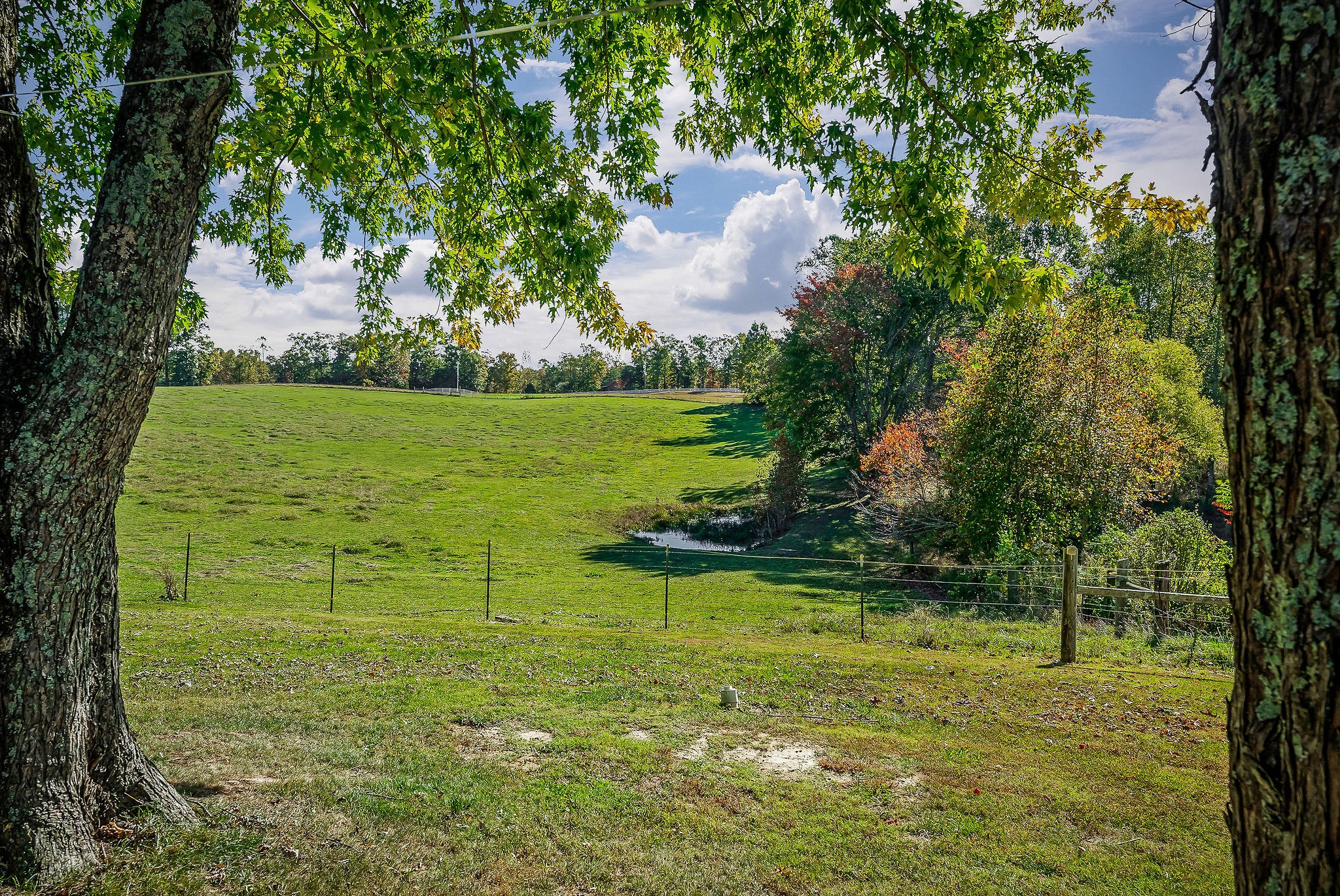 2634 Pine Grove Road Spencer, TN 38585 - Photo 27 of 33 a large body of water with a large trees