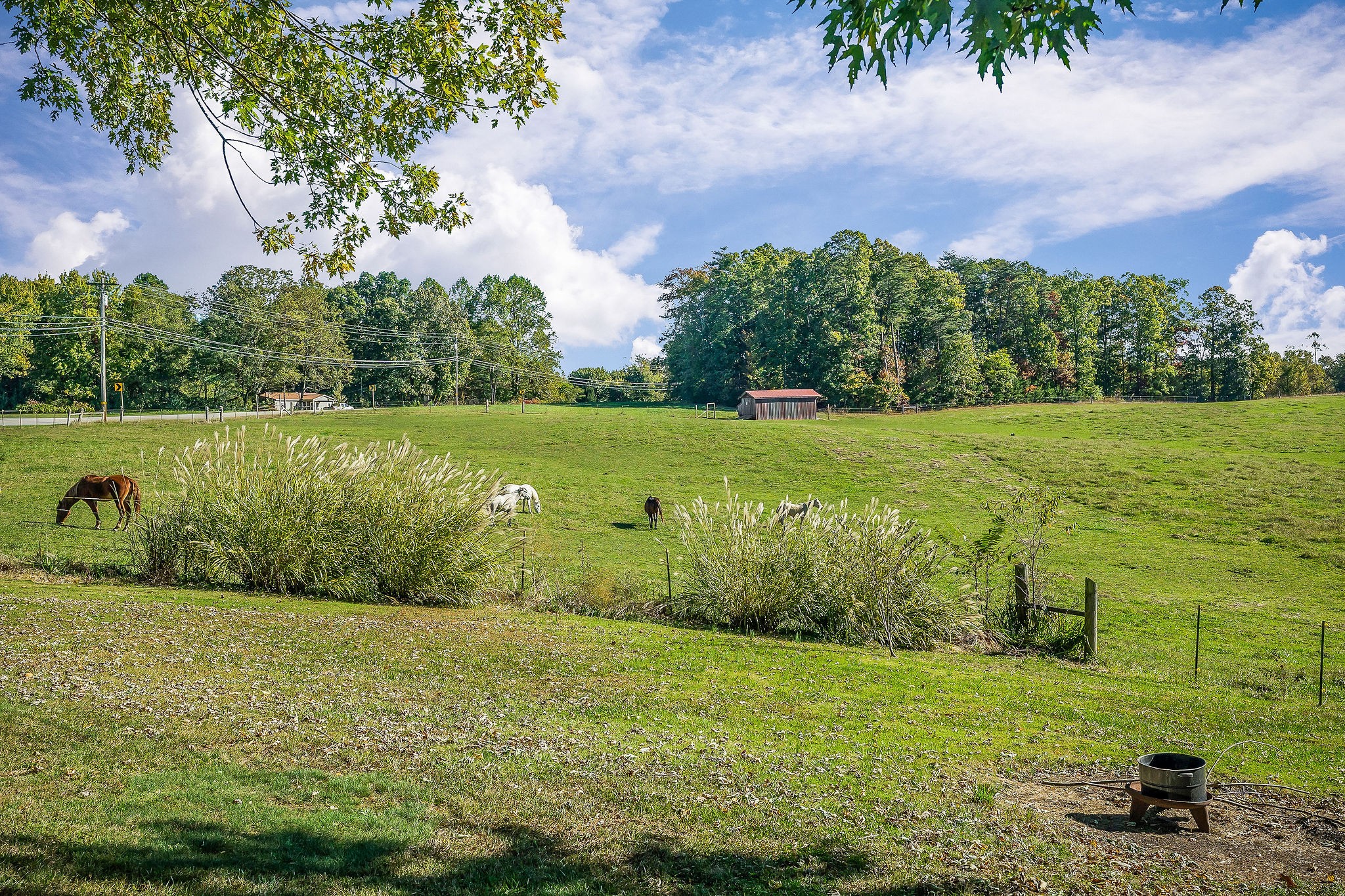 2634 Pine Grove Road Spencer, TN 38585 - Photo 28 of 33 a view of a lake with a yard