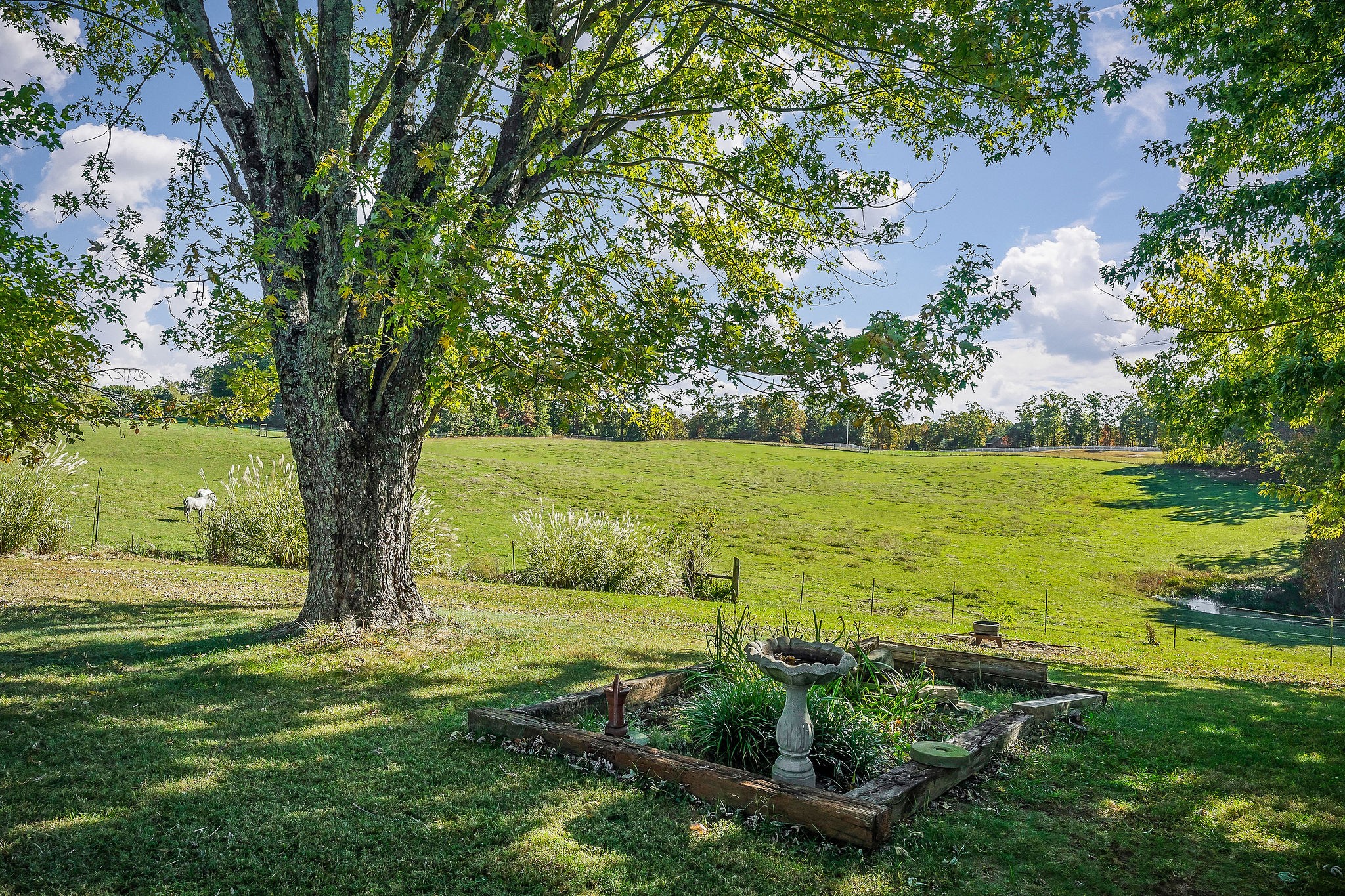2634 Pine Grove Road Spencer, TN 38585 - Photo 29 of 33 a view of an ocean with a large tree