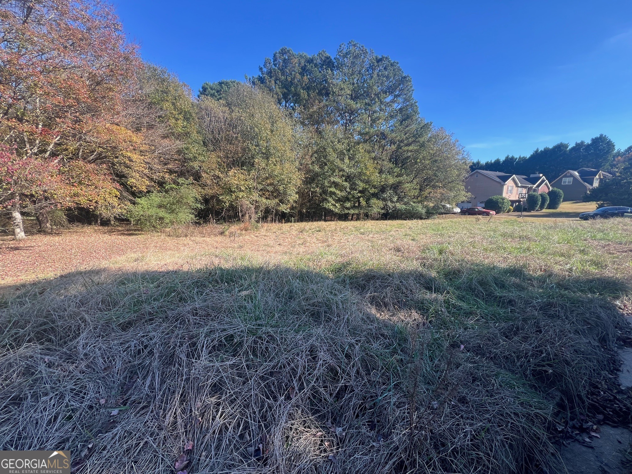 40 Bentley Pl Way Covington, GA 30016 - Photo 2 of 4 a view of large trees and mountains in the background