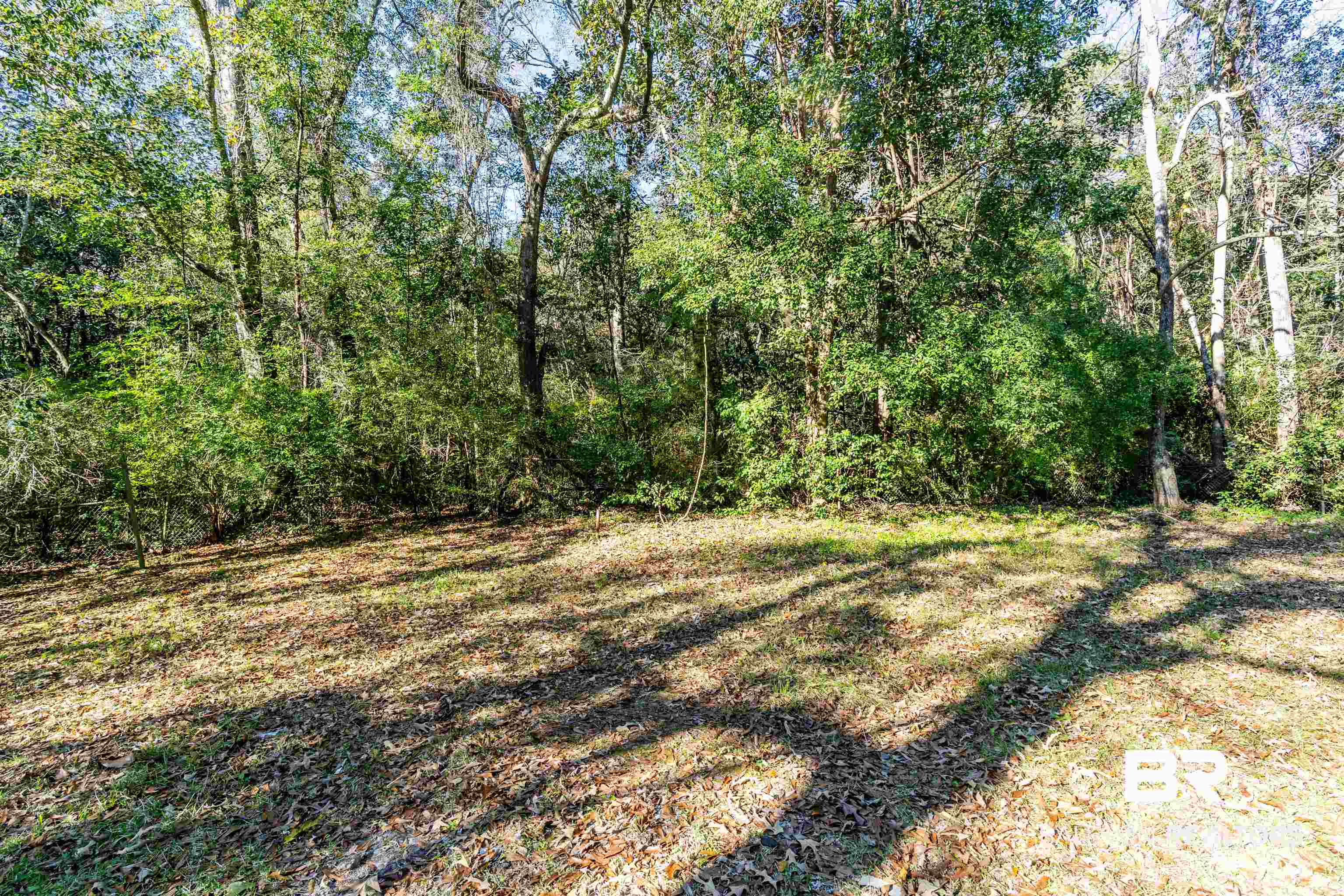 3900 Brookmont Drive Mobile, AL 36605 - Photo 15 of 19 View of landscape
