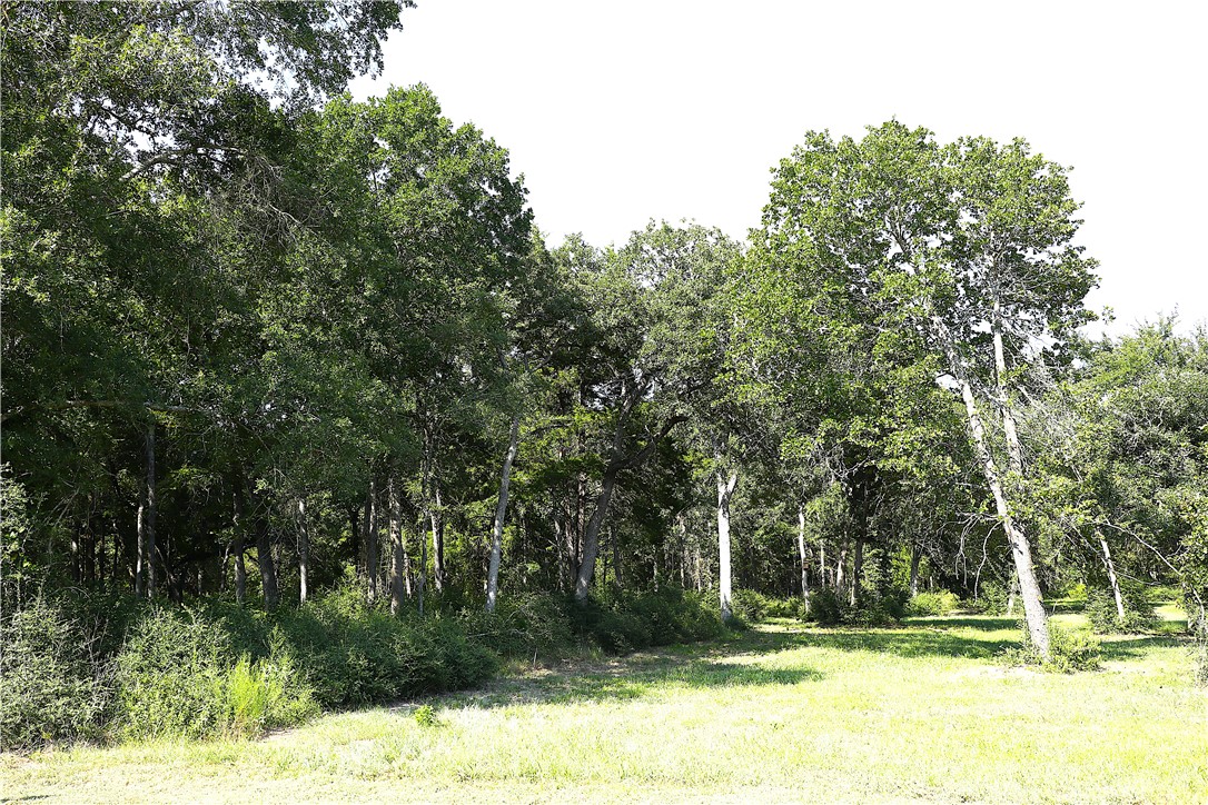 Lot 14 Sawmill Road Franklin, TX 77856 - Photo 14 of 15