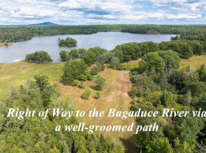 565 Bagaduce Road Brooksville, ME 04617 - Photo 5 of 68 Bagaduce ROW 4