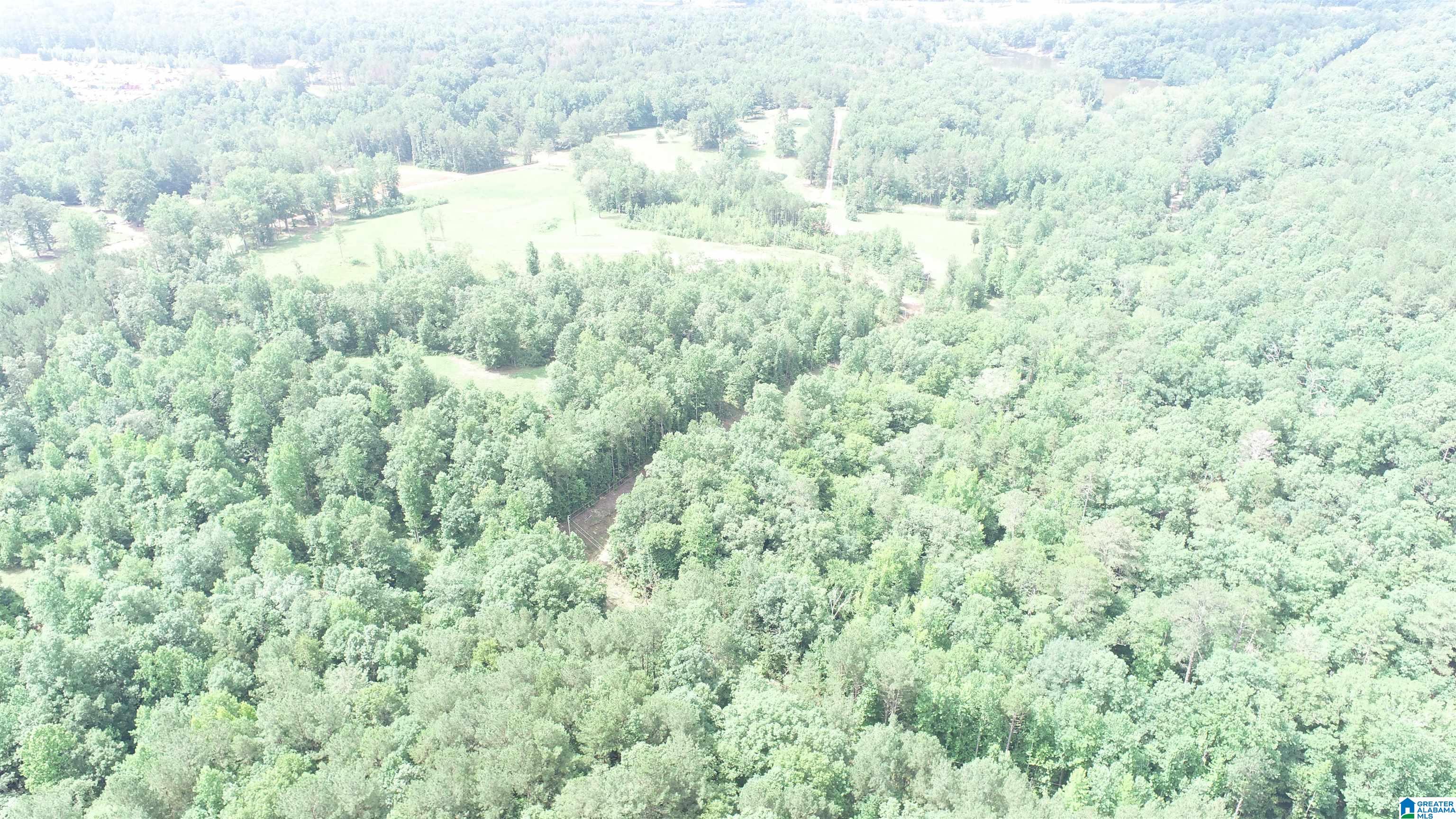 4 County Road Wedowee, AL 36278 - Photo 12 of 16