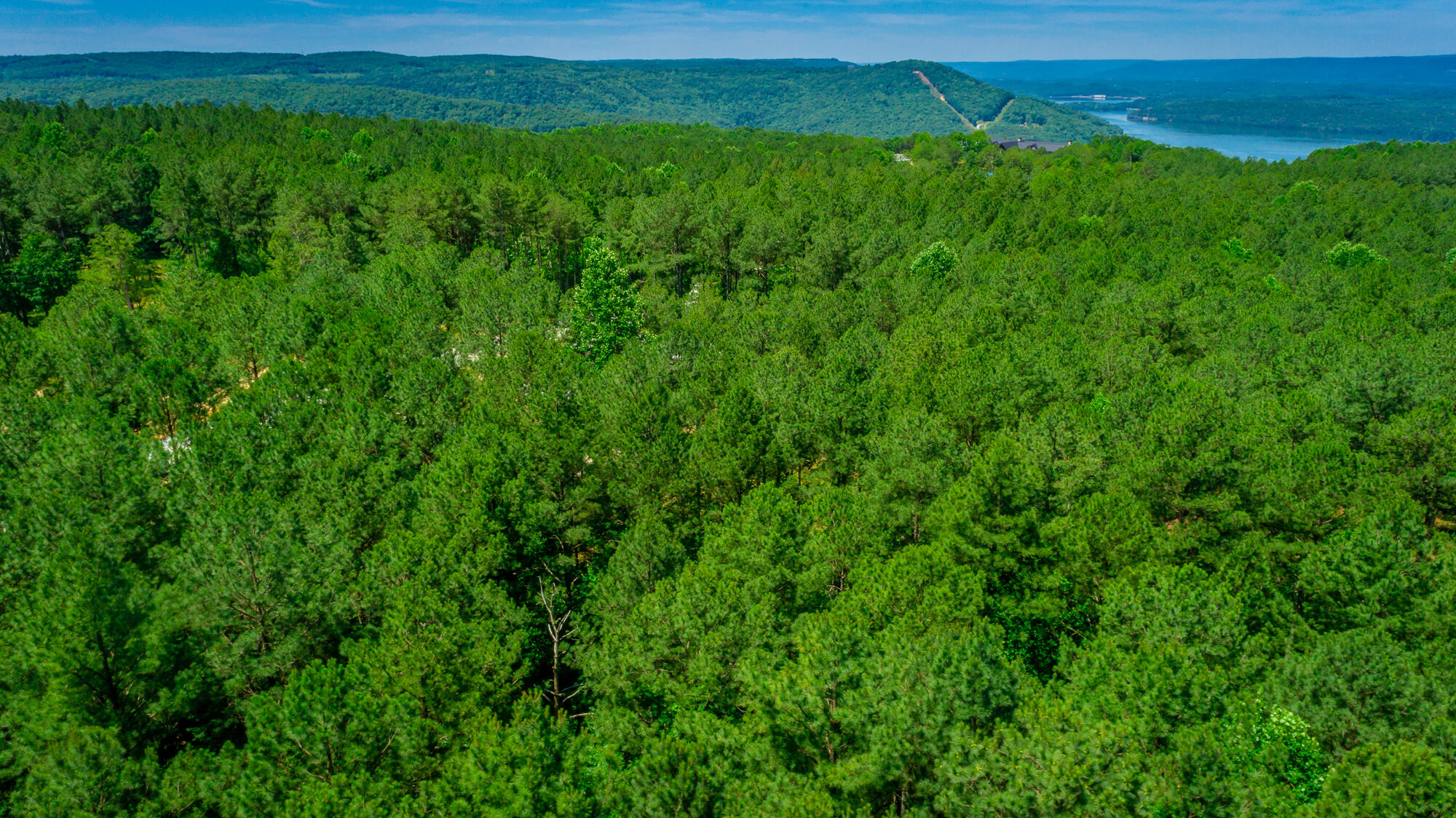 0 Split Rail Way, Unit LOT 1121 Guild, TN 37340 - Photo 50 of 103 River Gorge Lot 1121 HD-51