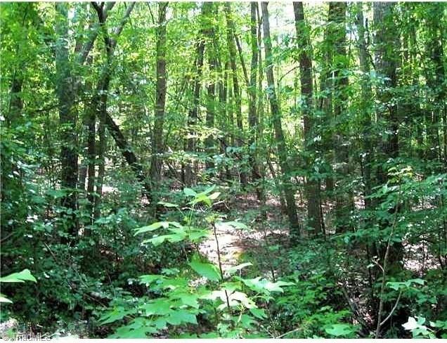 0 Bobcat Road Summerfield, NC 27358 - Photo 1 of 1