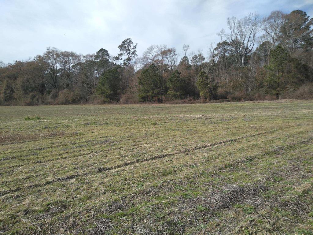 0 Cecil Varnum Road Dothan, AL 36301 - Photo 1 of 4