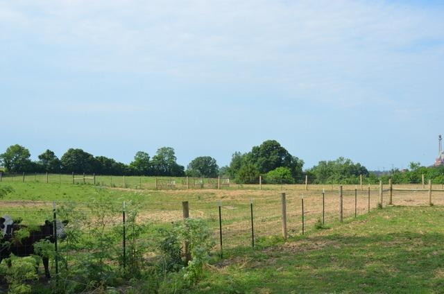 3887 High Bridge Road Lancaster, KY 40444 - Photo 55 of 97 Photo 55