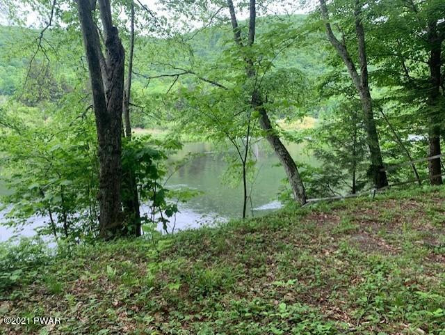 464 Penn-York Road Starlight, PA 18461 - Photo 1 of 9 2+ ac. Delaware Riverfront