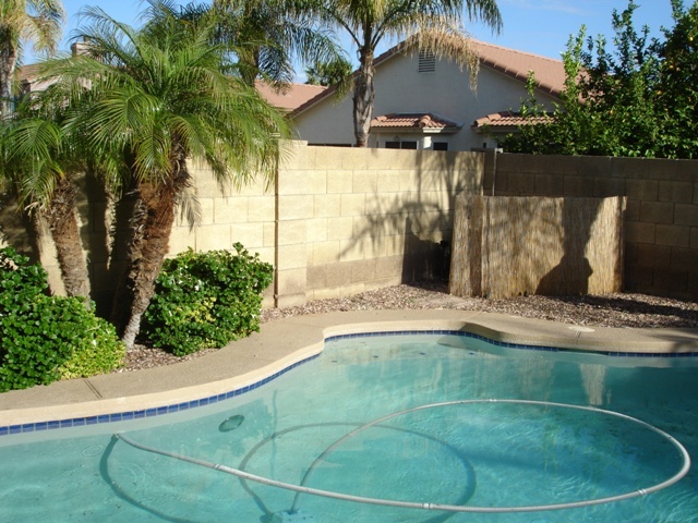 3527 East Long Lake Road Phoenix, AZ 85048 - Photo 5 of 7 DSC09616