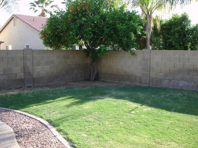 3527 East Long Lake Road Phoenix, AZ 85048 - Photo 6 of 7 DSC09617