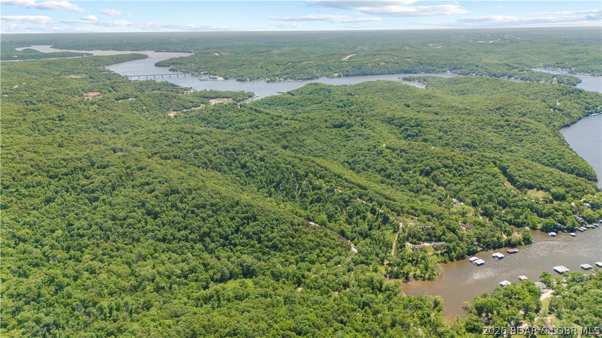 5-acres Pirates Pirates Cove Road Camdenton, MO 65020 - Photo 25 of 30