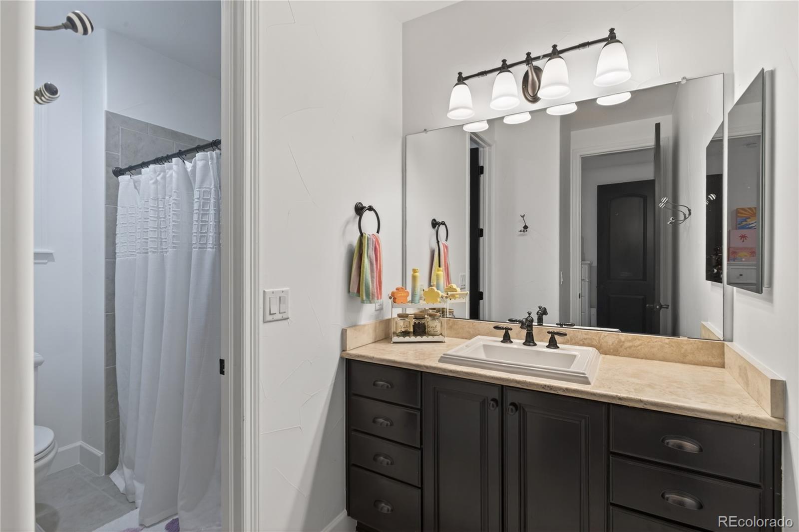 219 Maplehurst Point Highlands Ranch, CO 80126 - Photo 31 of 50