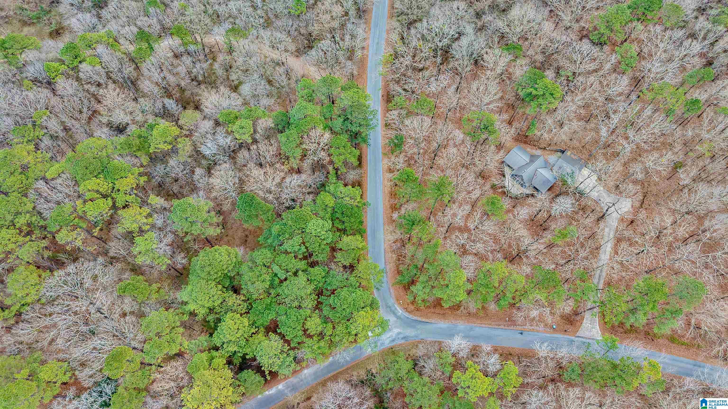 266 Davis Acres Drive Alpine, AL 35014 - Photo 57 of 60