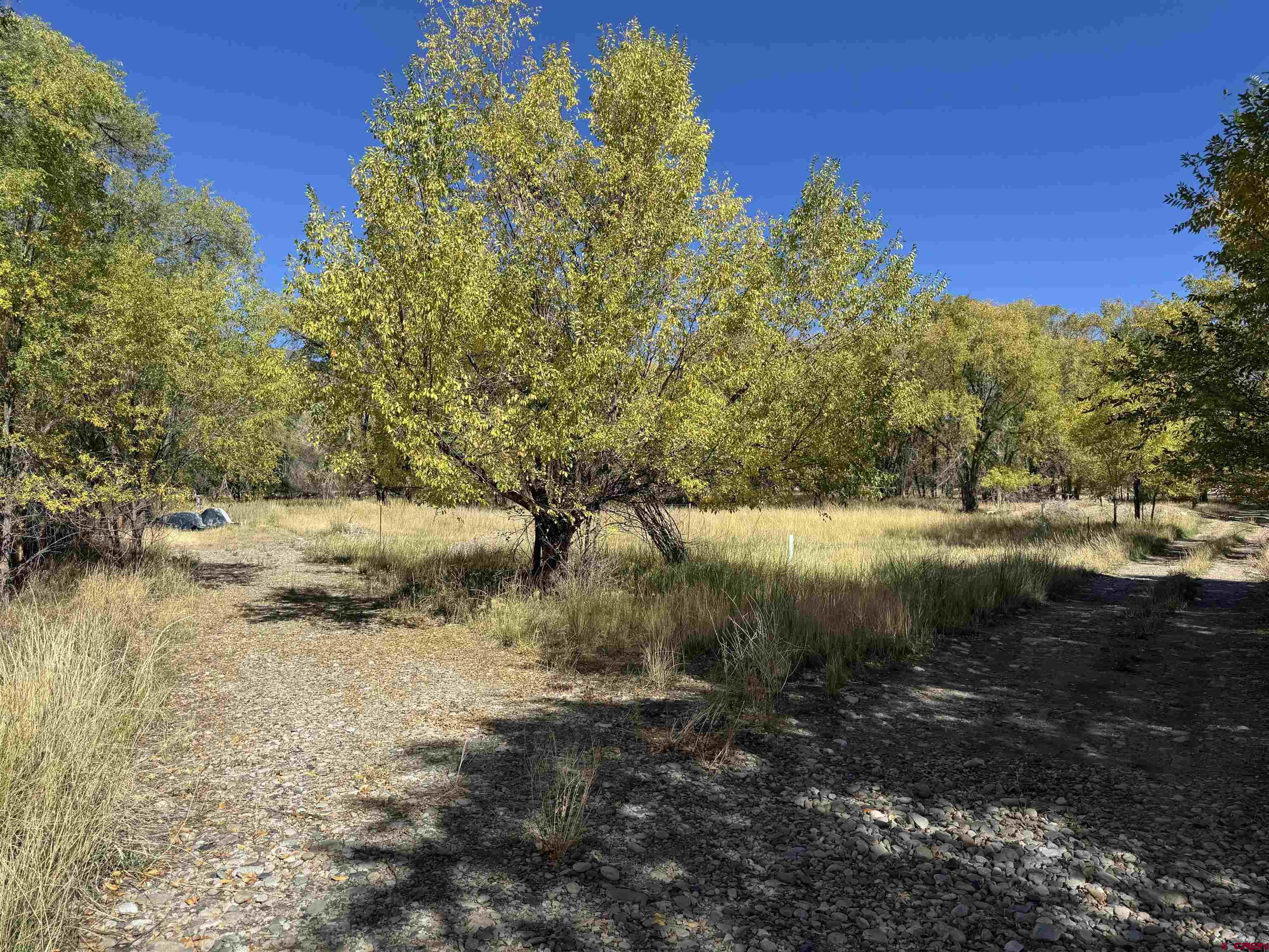 Lot 2 Price Road Paonia, CO 81428 - Photo 16 of 18