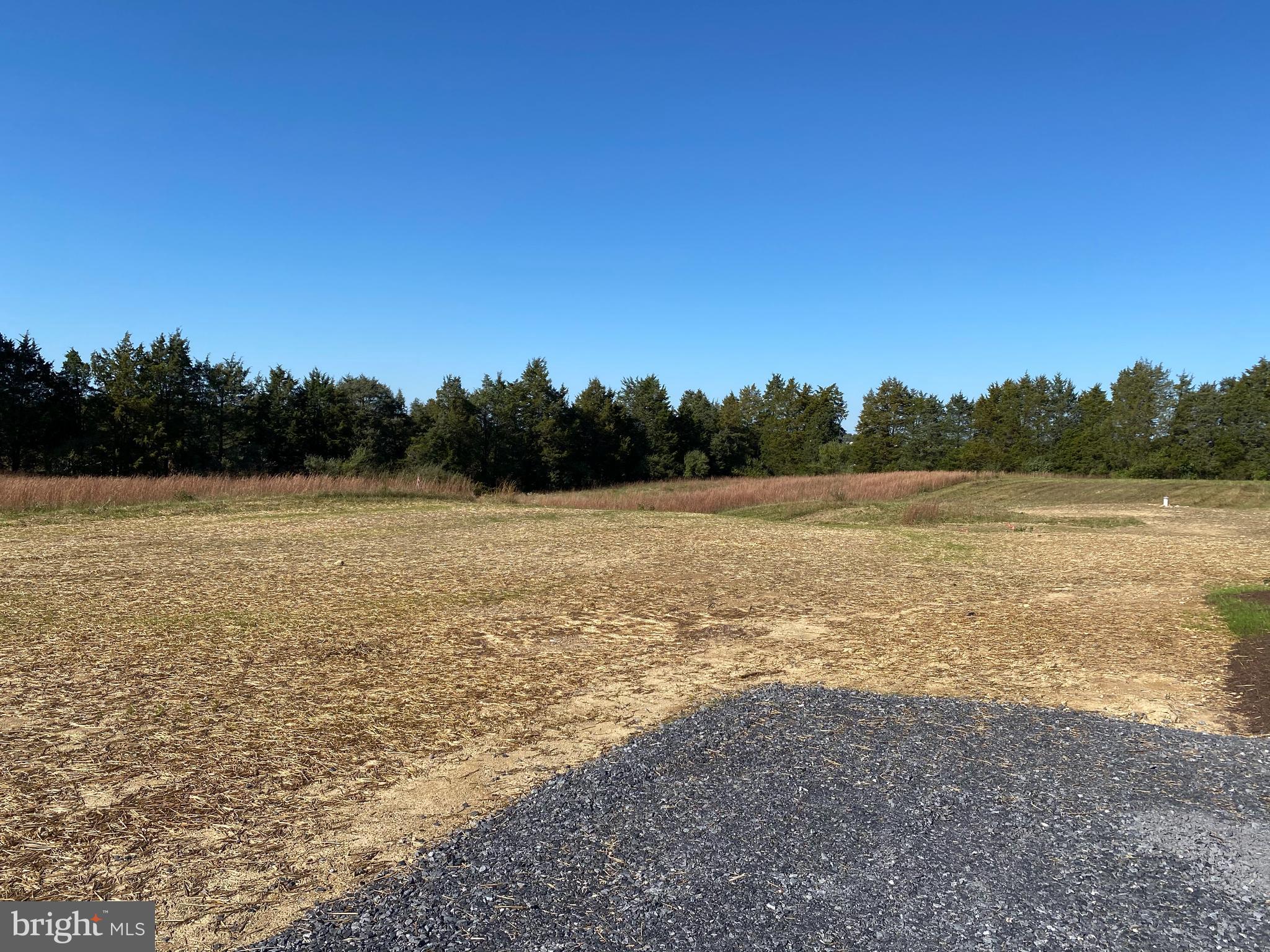 315 Guard Hill Road Middletown, VA 22645 - Photo 11 of 11