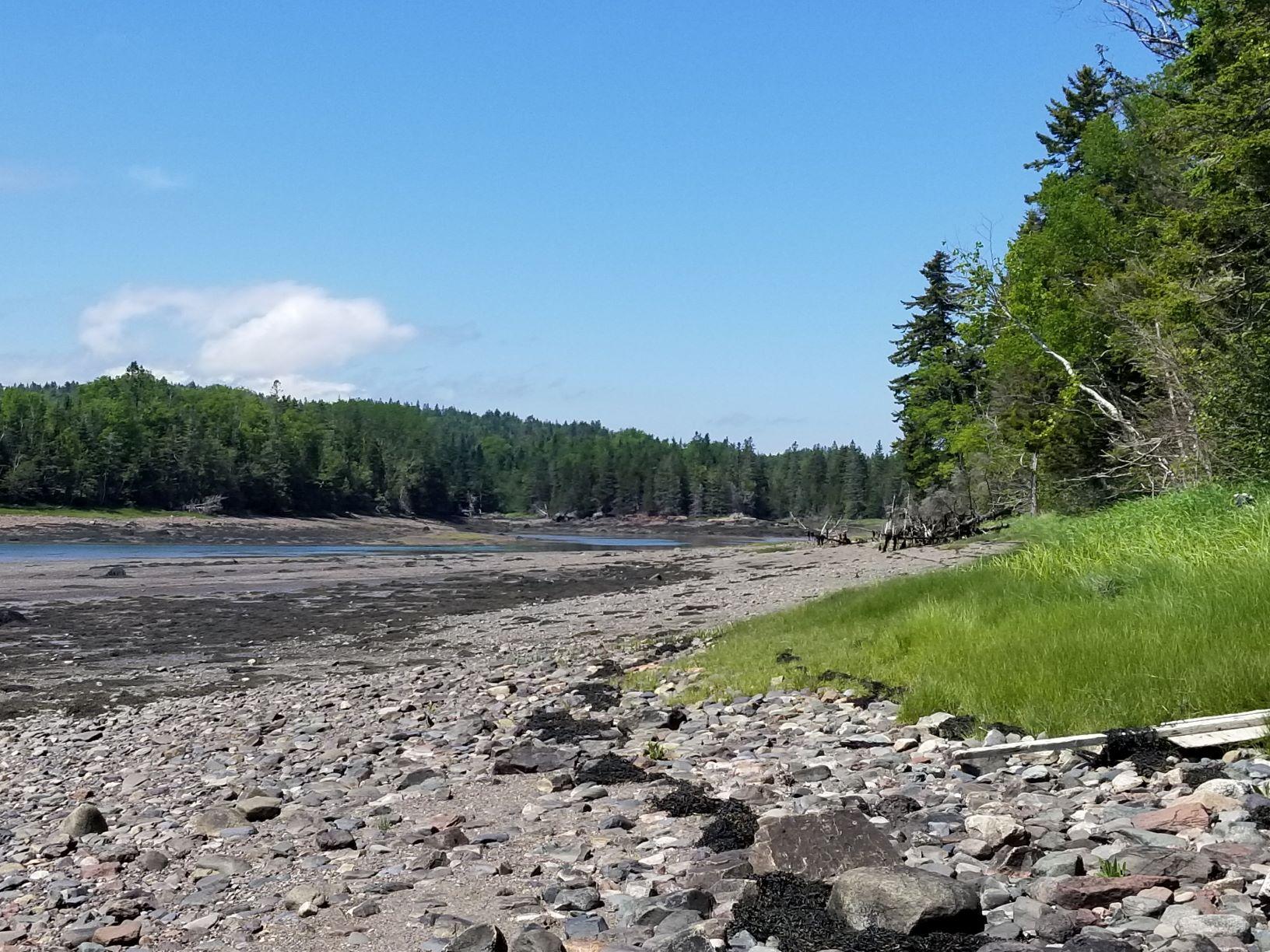 0 Lincoln Cove Road Perry, ME 04667 - Photo 38 of 53 Lincoln Cove view at low tide 3