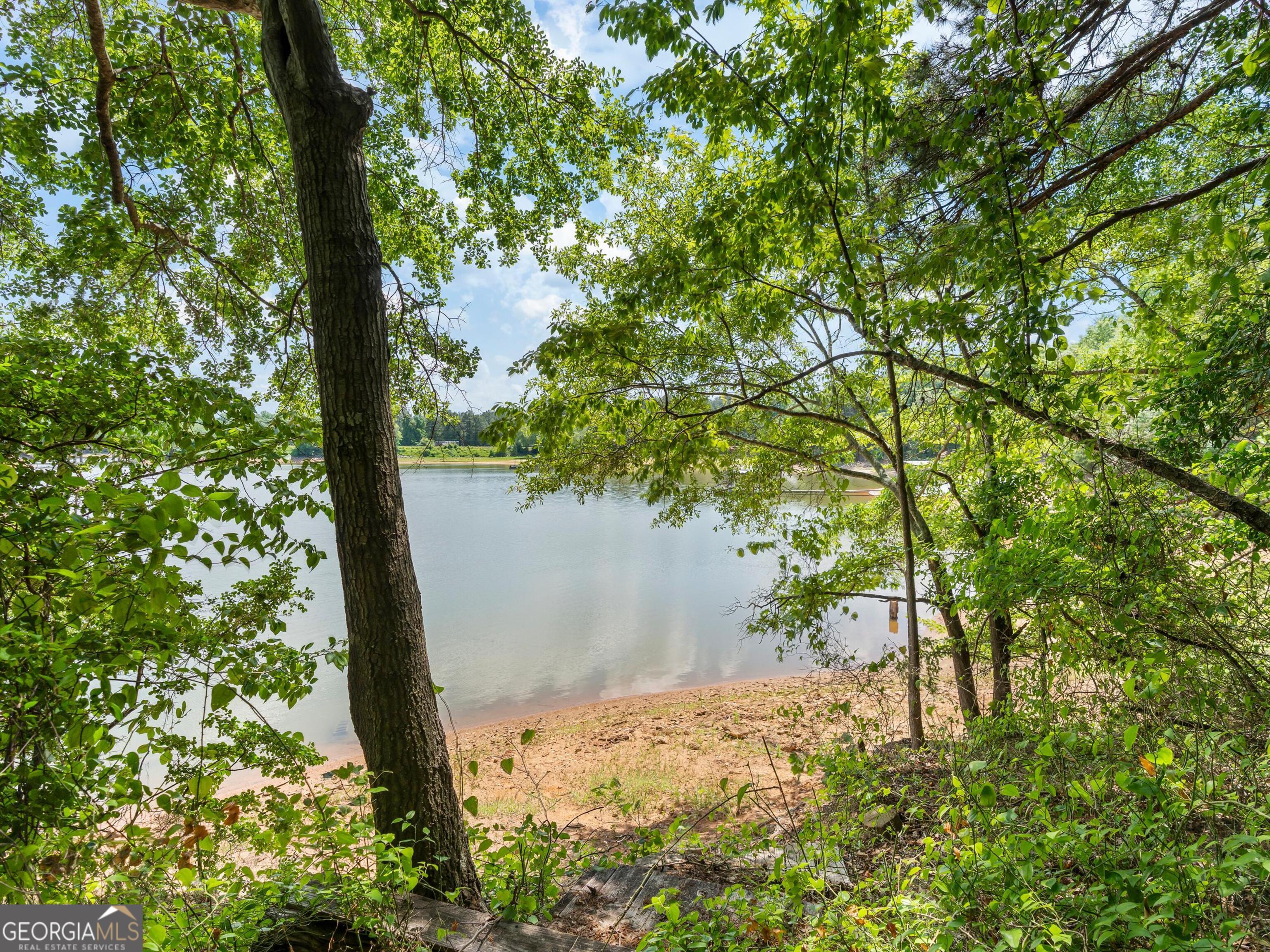 546 Old Beacon Light Road Hartwell, GA 30643 - Photo 59 of 59