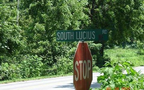 South Lucius Road Cherry Log, GA 30522 - Photo 1 of 1 Main View