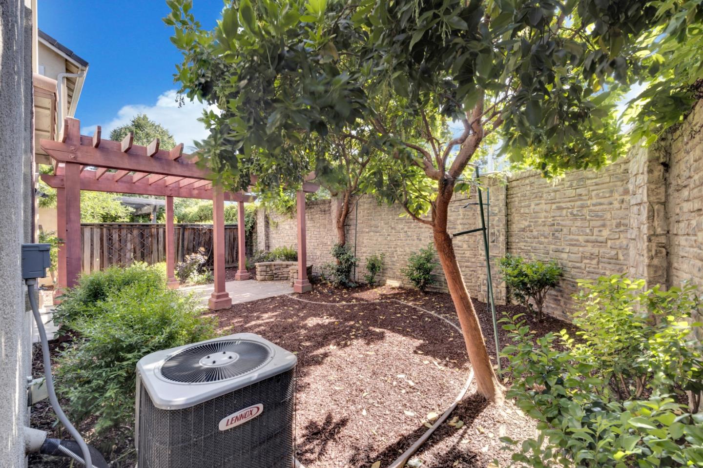 6367 Brando Loop Fair Oaks, CA 95628 - Photo 50 of 59 a view of a backyard with potted plants and large tree