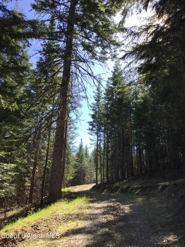$265,000 | 97 Highway 97, St. Maries, ID 83861