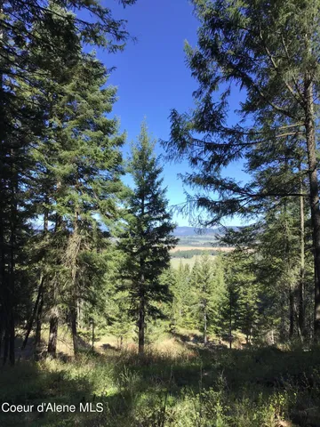 $265,000 | 97 Highway 97, St. Maries, ID 83861