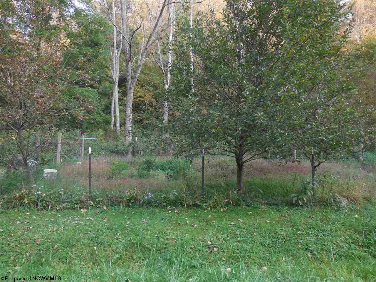 347 Dudley Fork Road Mannington, WV 26582 - Photo 18 of 20 Gallery Image 18