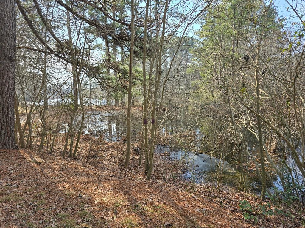 0 Bayside Road, Unit 1 Greenbush, VA 23357 - Photo 4 of 5