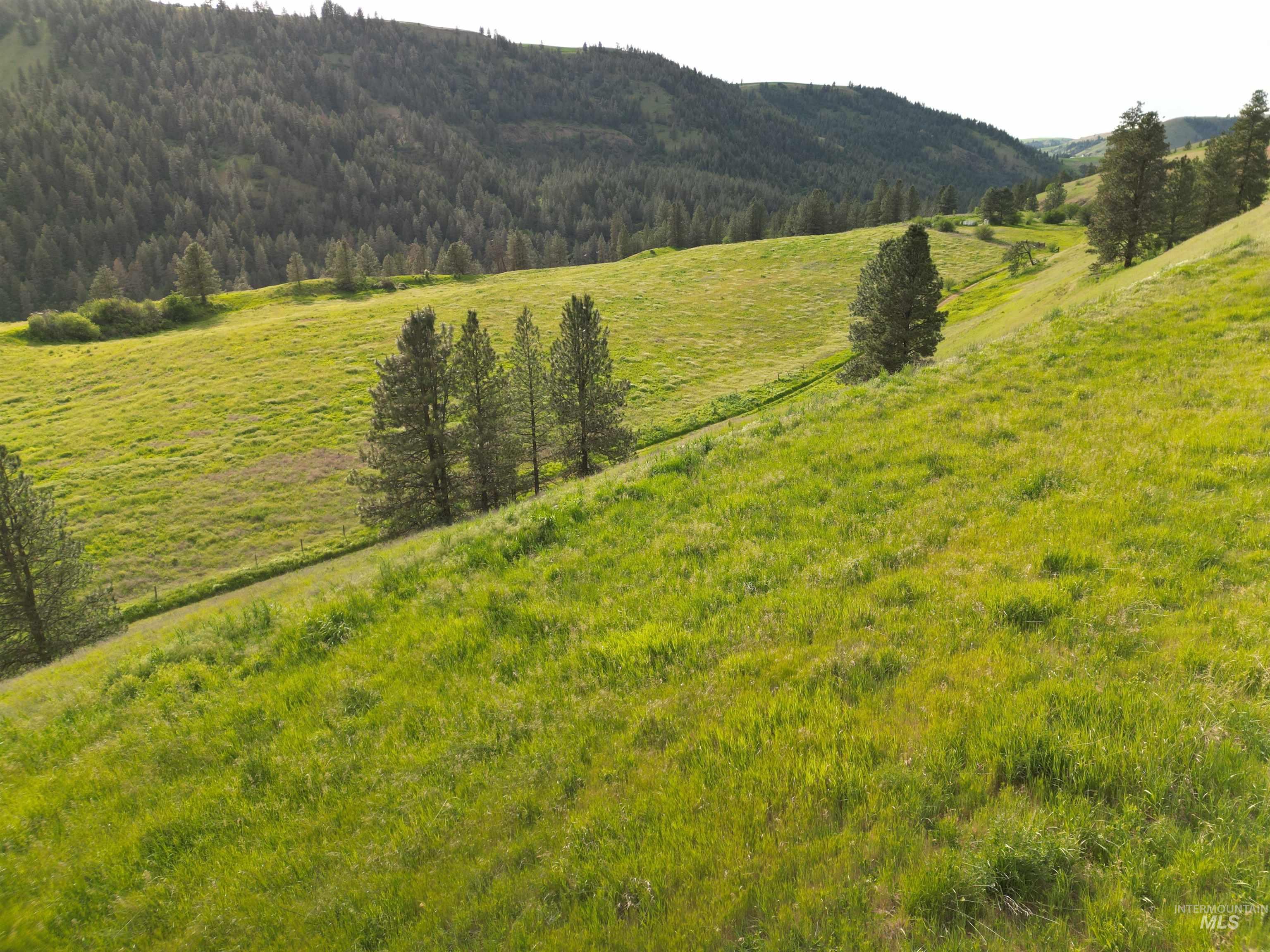0 American Ridge Road Kendrick, ID 83537 - Photo 25 of 25