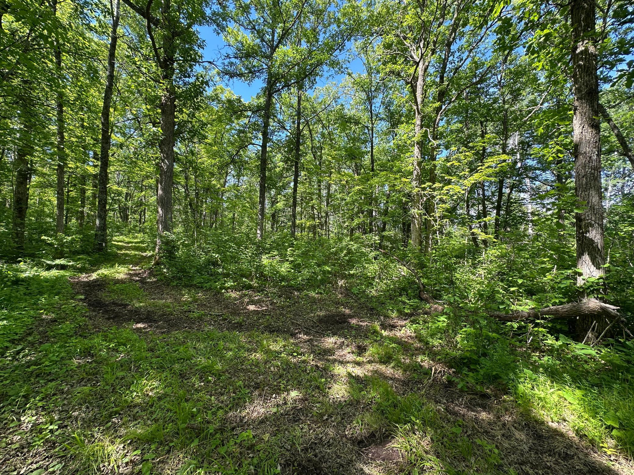 89225 Little Oak Lake Road Kerrick, MN 55756 - Photo 16 of 33