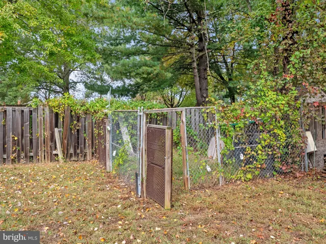 a view of a wooden door with a tree