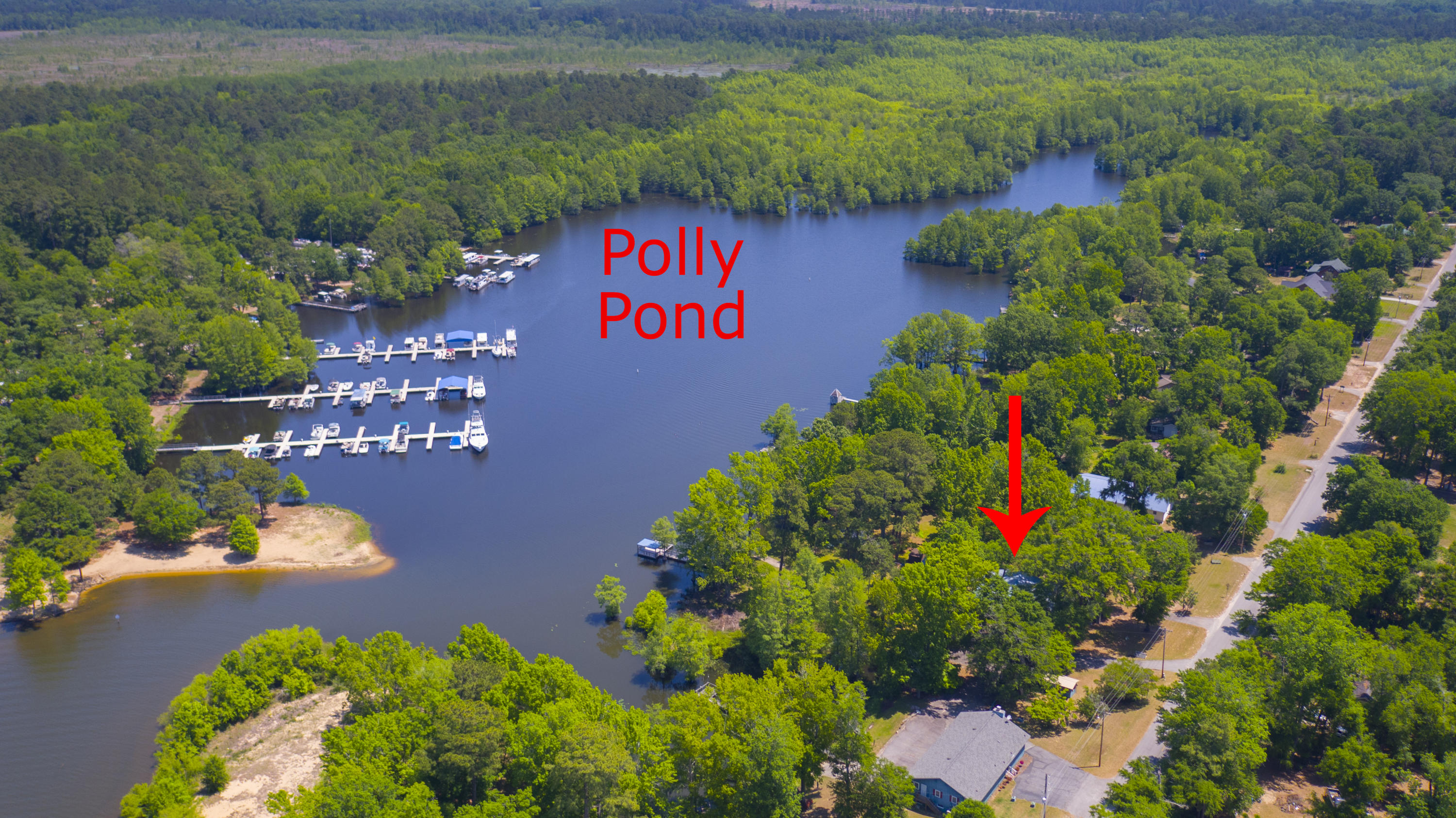 2042 Princess Pond Road Summerton, SC 29148 - Photo 2 of 74 2042PrincessPondRd_Edited_0014b