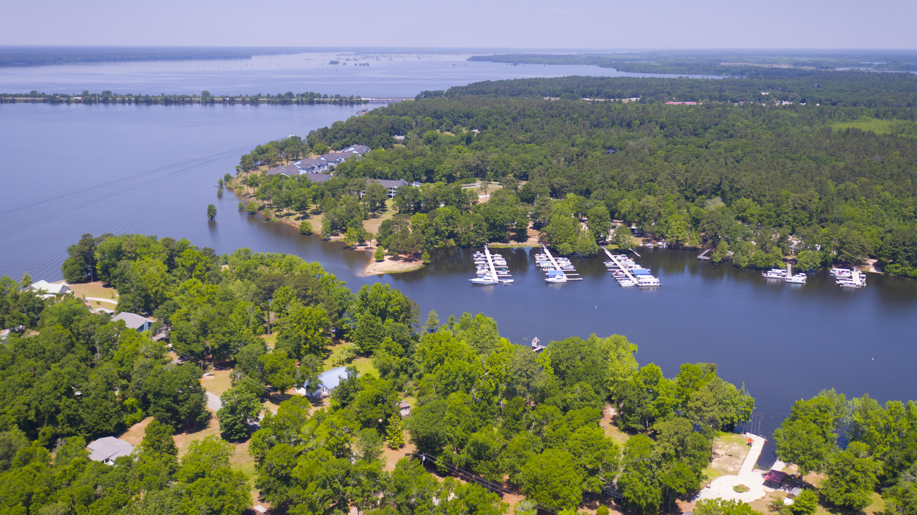 2042 Princess Pond Road Summerton, SC 29148 - Photo 5 of 74 2042PrincessPondRd_Edited_0012
