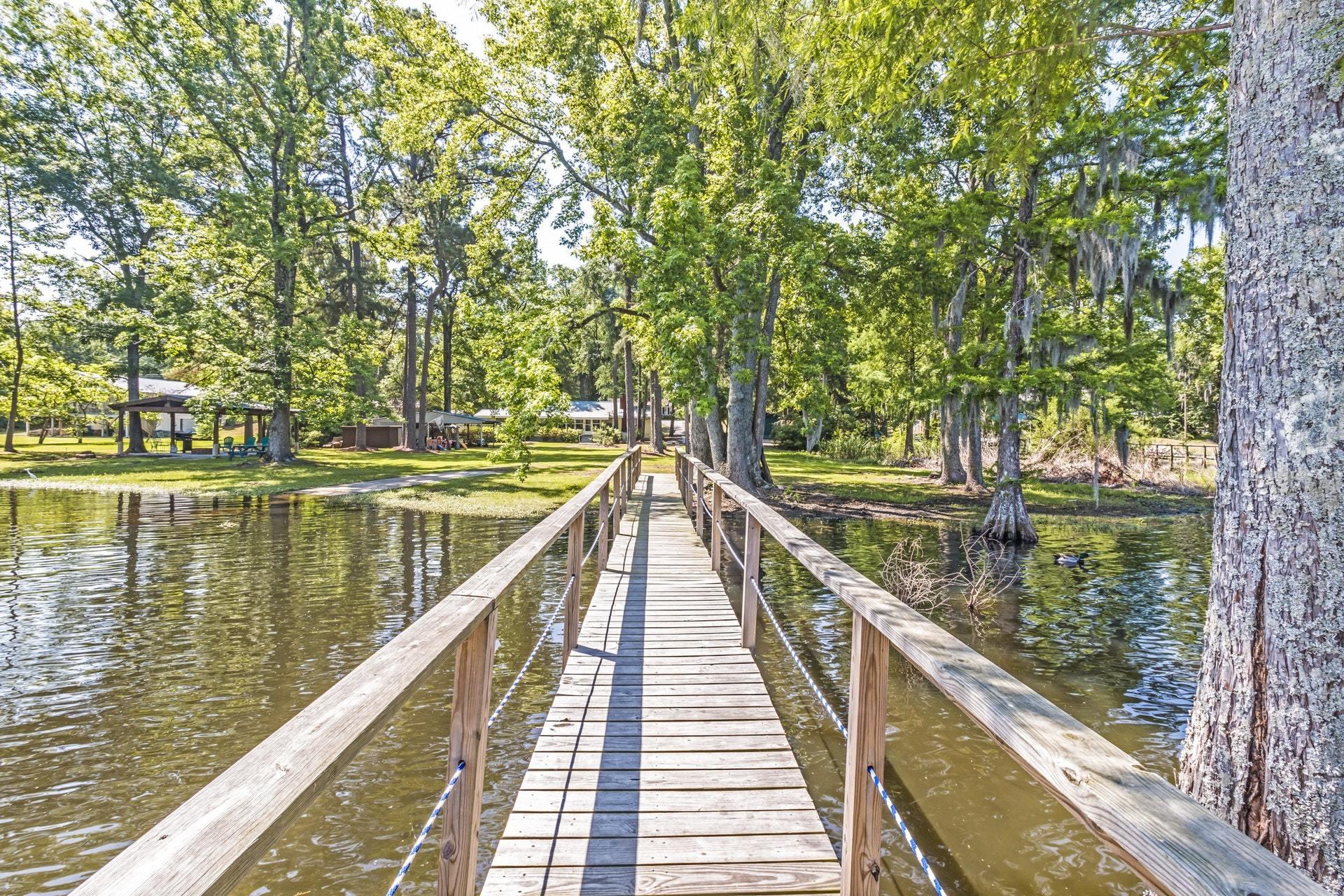2042 Princess Pond Road Summerton, SC 29148 - Photo 49 of 74 048-272279-32_resampled