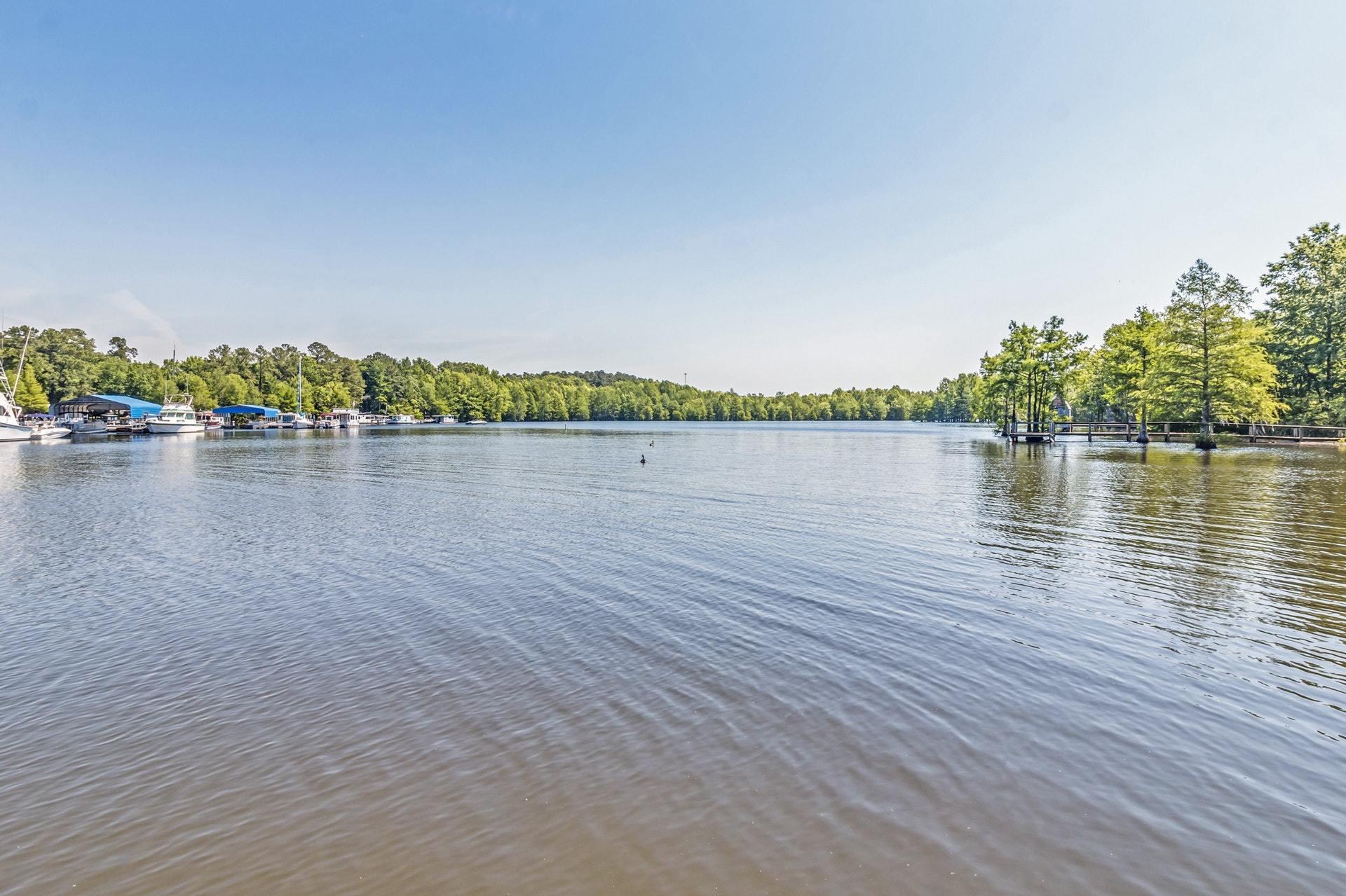 2042 Princess Pond Road Summerton, SC 29148 - Photo 51 of 74 051-272279-28_resampled