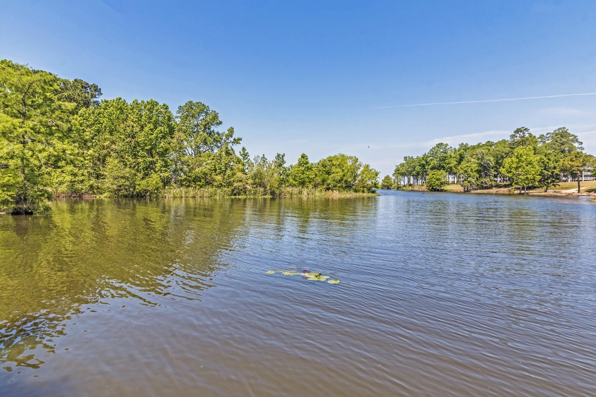 2042 Princess Pond Road Summerton, SC 29148 - Photo 52 of 74 052-272279-29_resampled