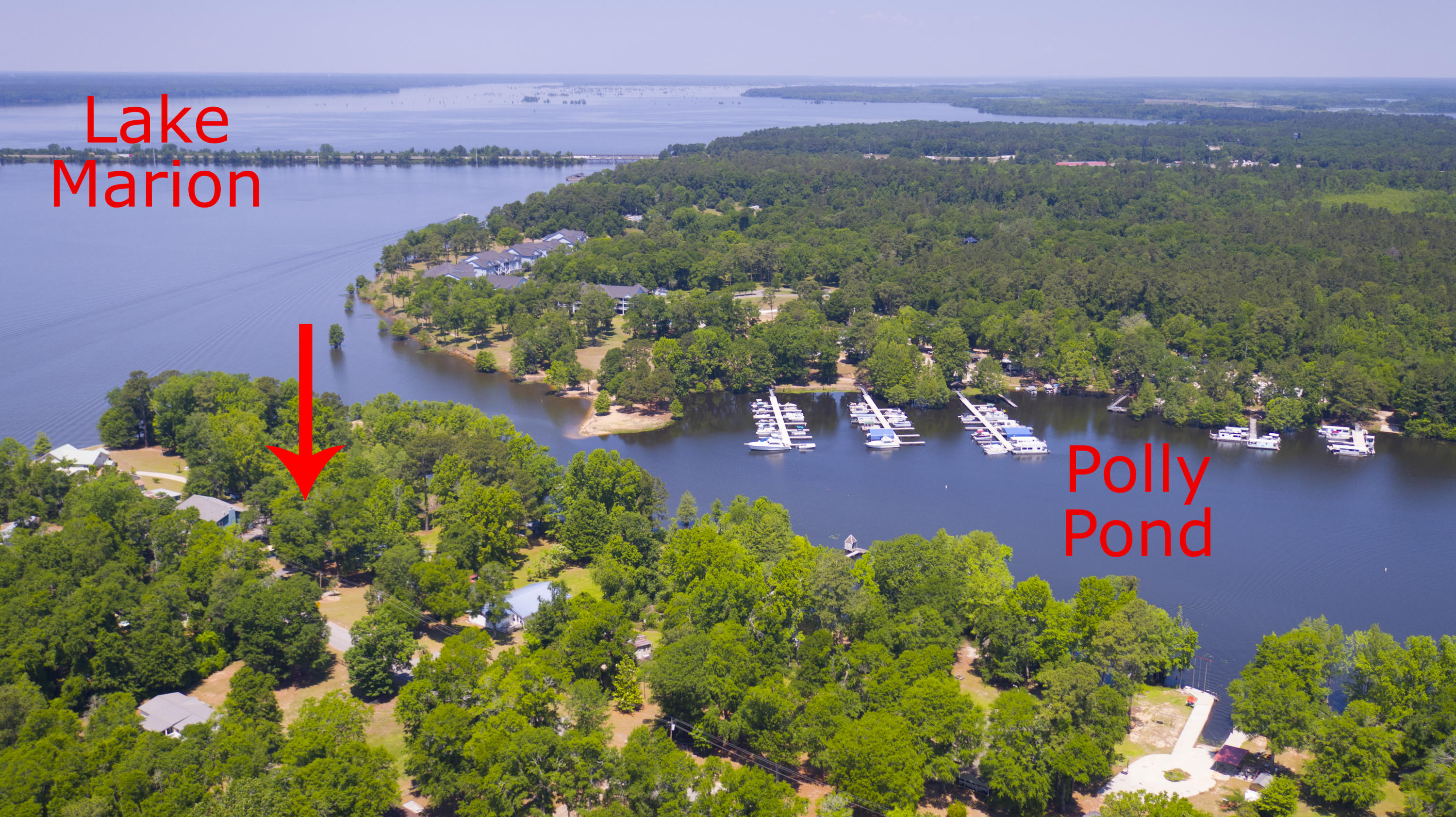 2042 Princess Pond Road Summerton, SC 29148 - Photo 59 of 74 2042PrincessPondRd_Edited_0012c
