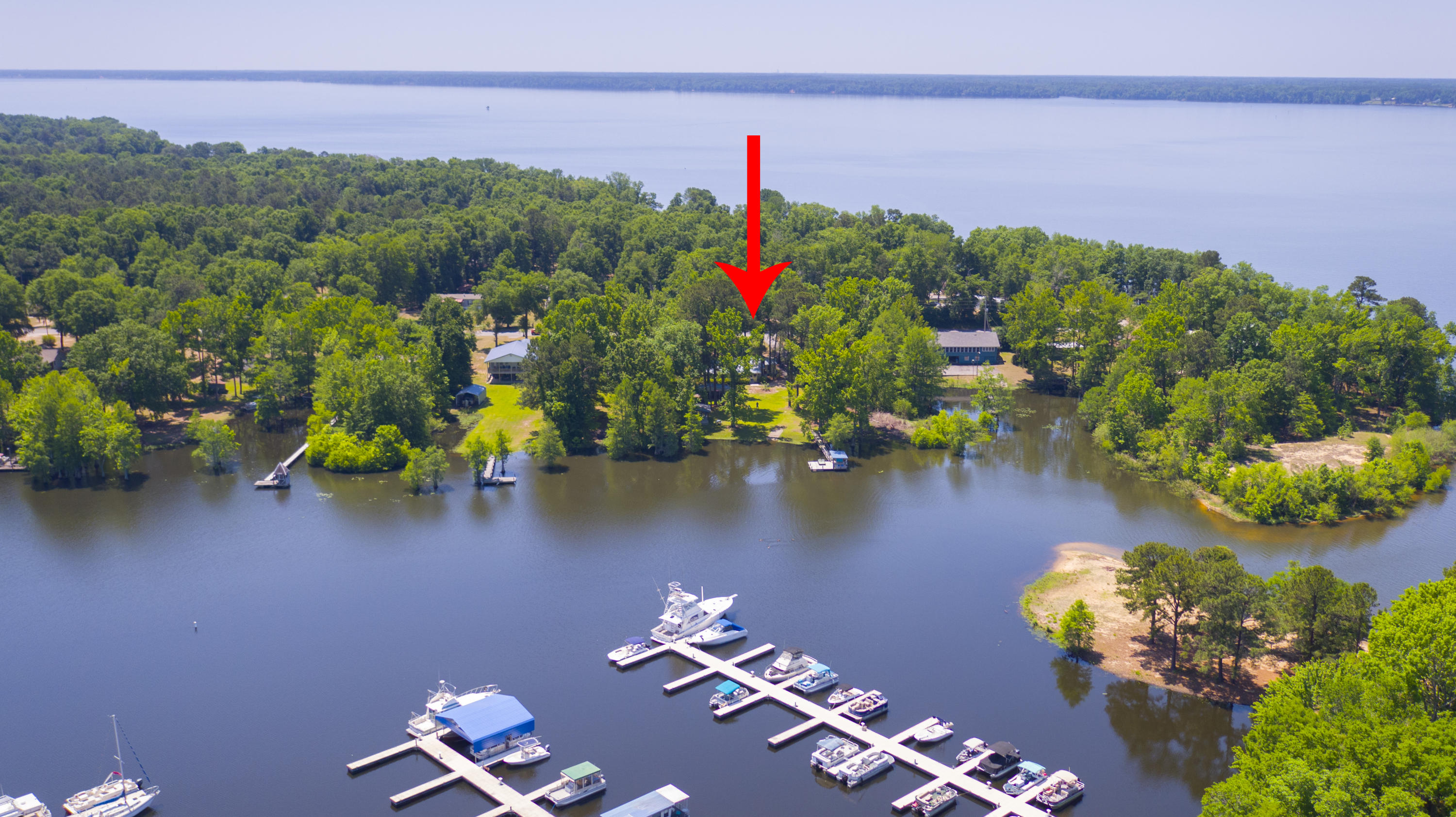 2042 Princess Pond Road Summerton, SC 29148 - Photo 63 of 74 2042PrincessPondRd_Edited_0011a