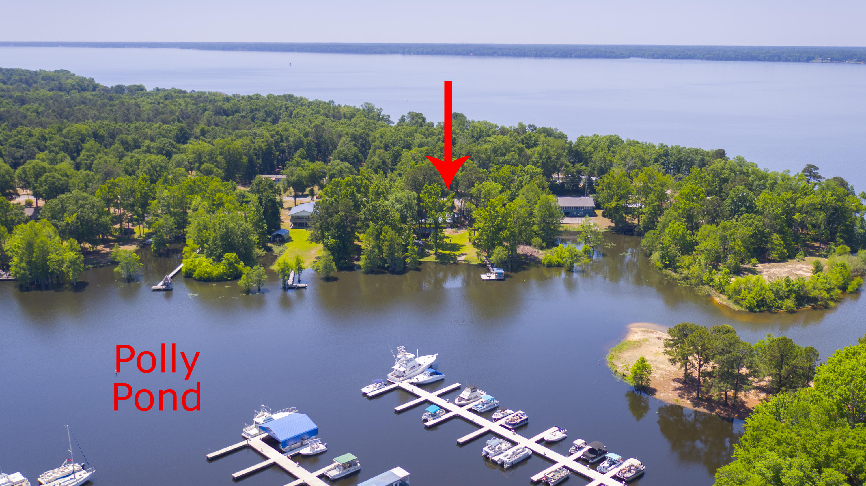 2042 Princess Pond Road Summerton, SC 29148 - Photo 64 of 74 2042PrincessPondRd_Edited_0011b