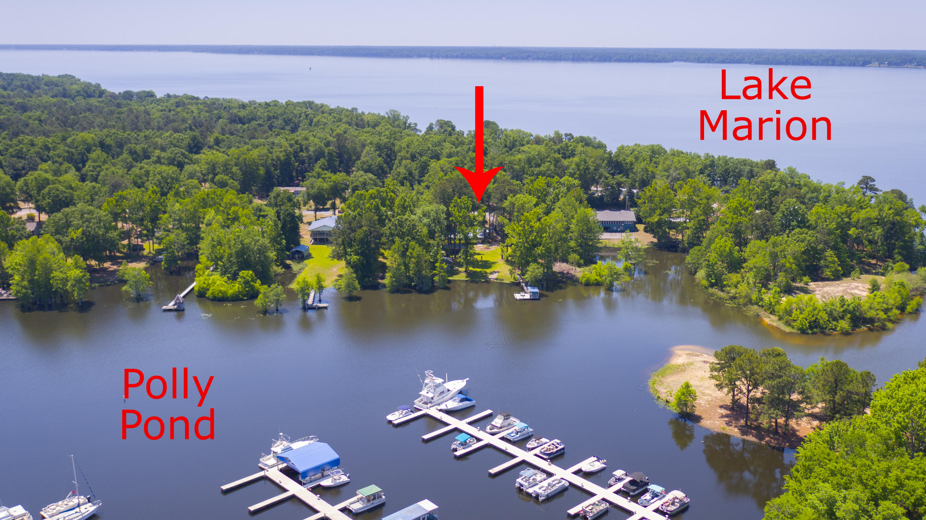 2042 Princess Pond Road Summerton, SC 29148 - Photo 65 of 74 2042PrincessPondRd_Edited_0011c