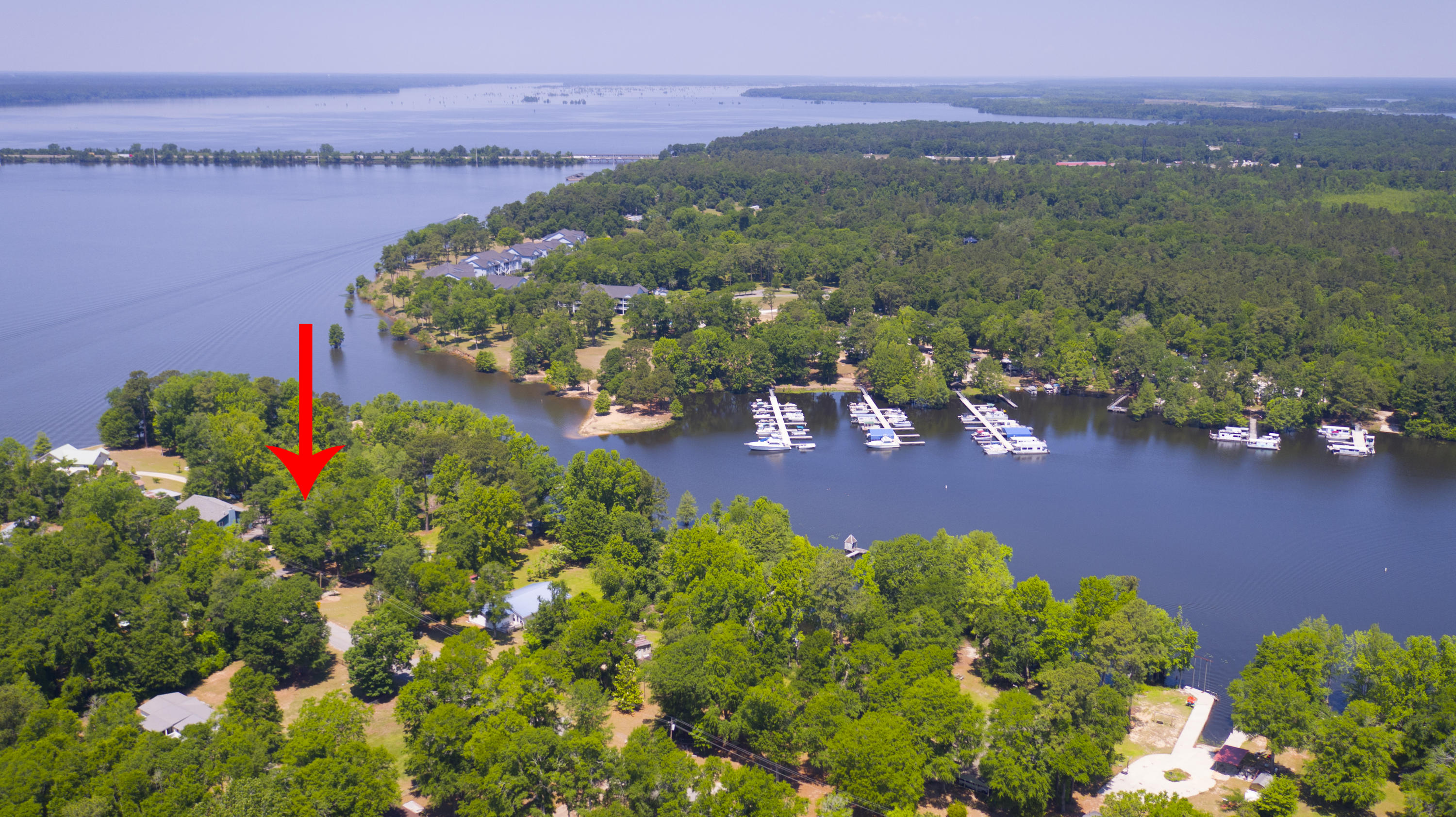 2042 Princess Pond Road Summerton, SC 29148 - Photo 66 of 74 2042PrincessPondRd_Edited_0012a