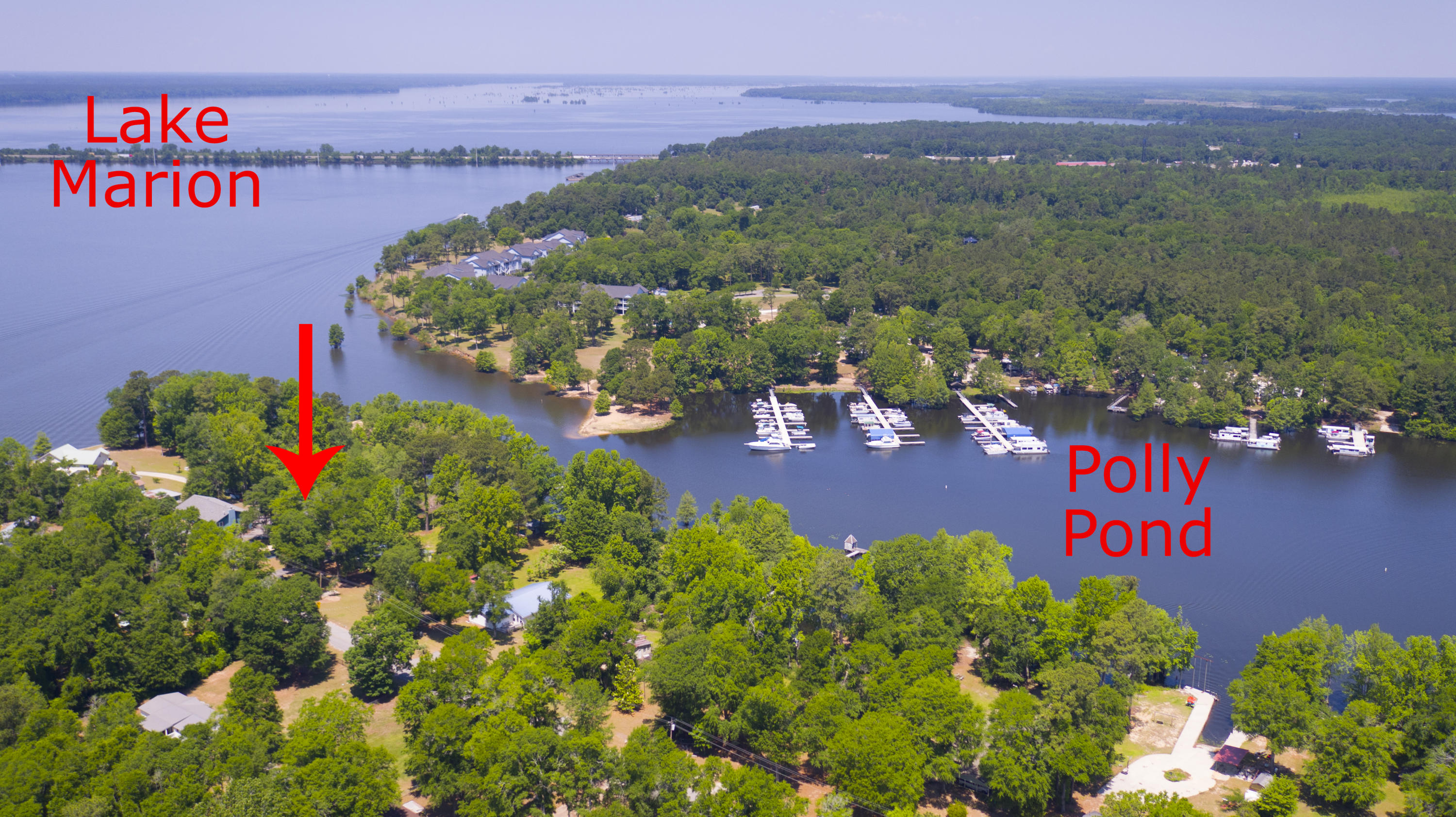 2042 Princess Pond Road Summerton, SC 29148 - Photo 67 of 74 2042PrincessPondRd_Edited_0012c