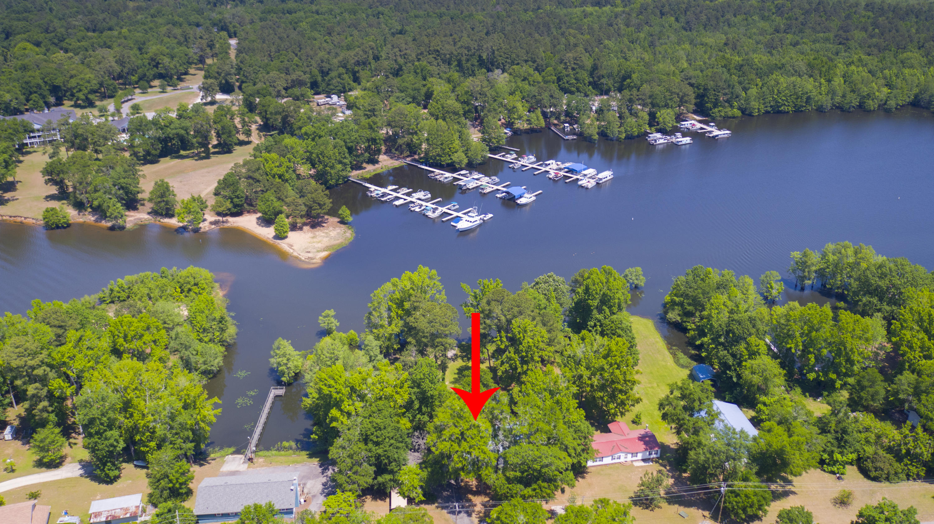 2042 Princess Pond Road Summerton, SC 29148 - Photo 68 of 74 2042PrincessPondRd_Edited_0013a