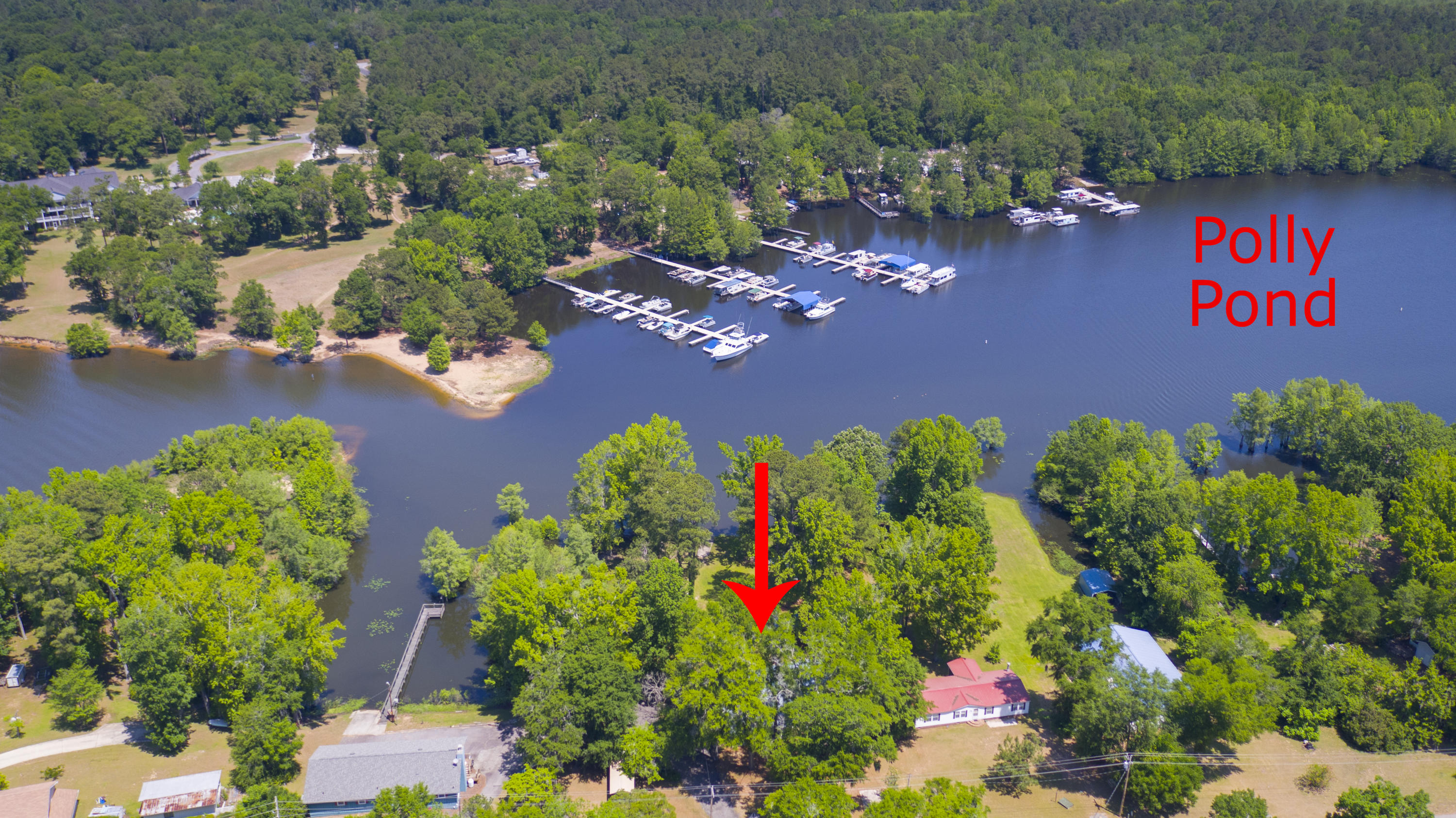 2042 Princess Pond Road Summerton, SC 29148 - Photo 69 of 74 2042PrincessPondRd_Edited_0013b