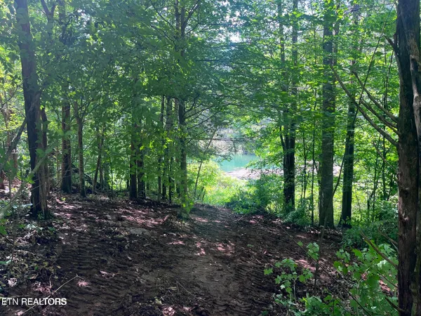 $140,000 | Highland Trace Road, Sharps Chapel, TN 37866