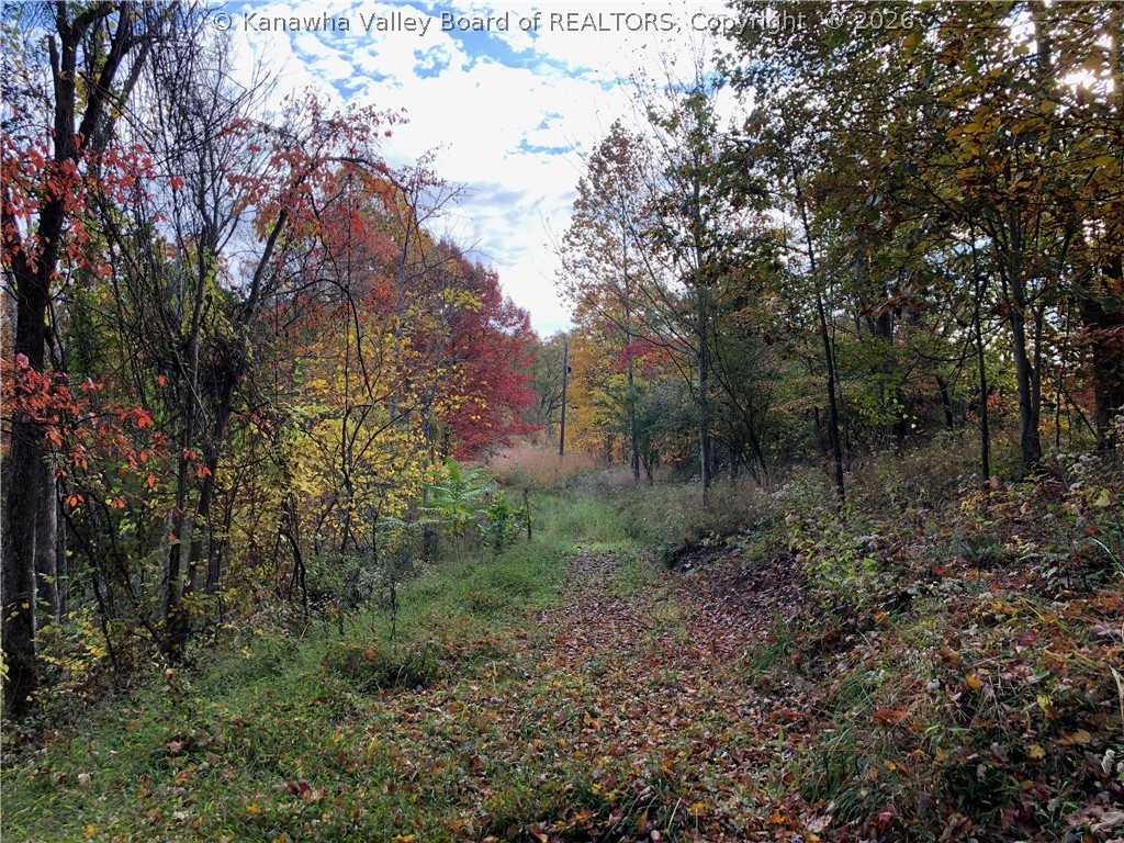 32-3 Long Hollow Road Letart, WV 25253 - Photo 10 of 19 Gallery Image 10