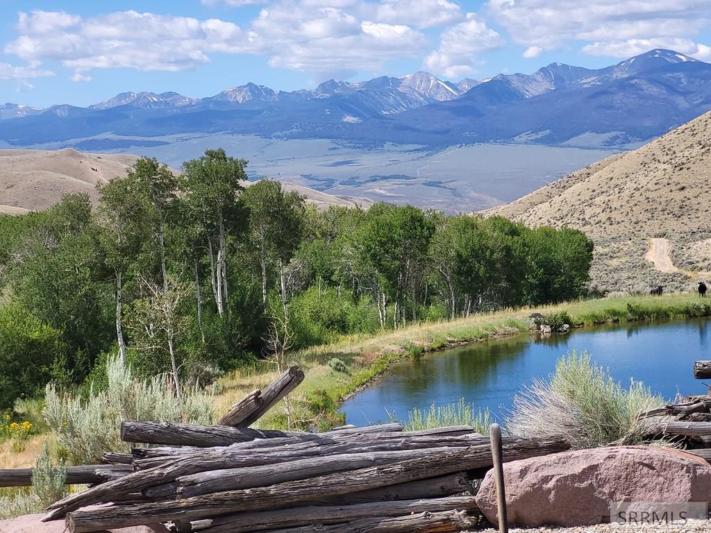 451 Peterson Creek Road Leadore, ID 83464 - Photo 2 of 34